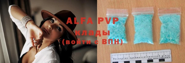 spice Вяземский