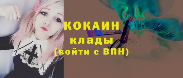 spice Вяземский