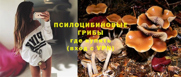 spice Вяземский