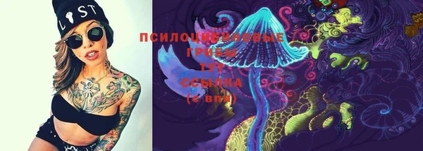 герыч Вязьма