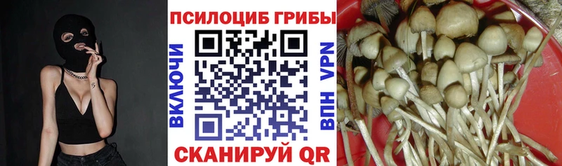 Галлюциногенные грибы Magic Shrooms  даркнет сайт  мега сайт  Магас 